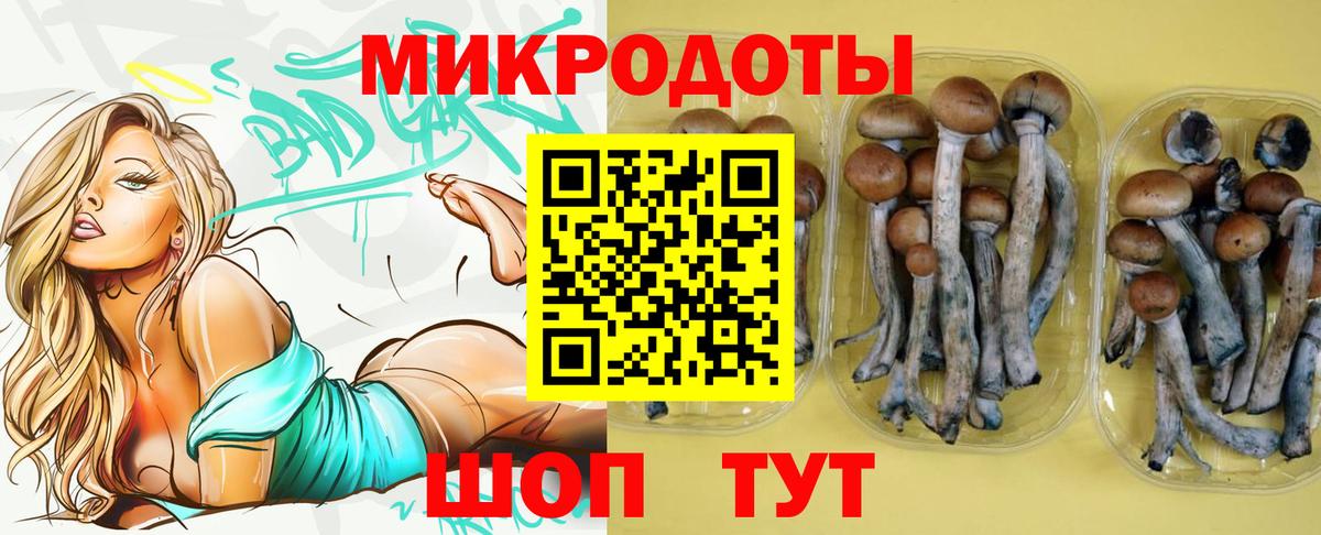Балашиха  Галлюциногенные грибы мицелий  Псилоцибиновые грибы Psilocybine cubensis  Вход с VPN 